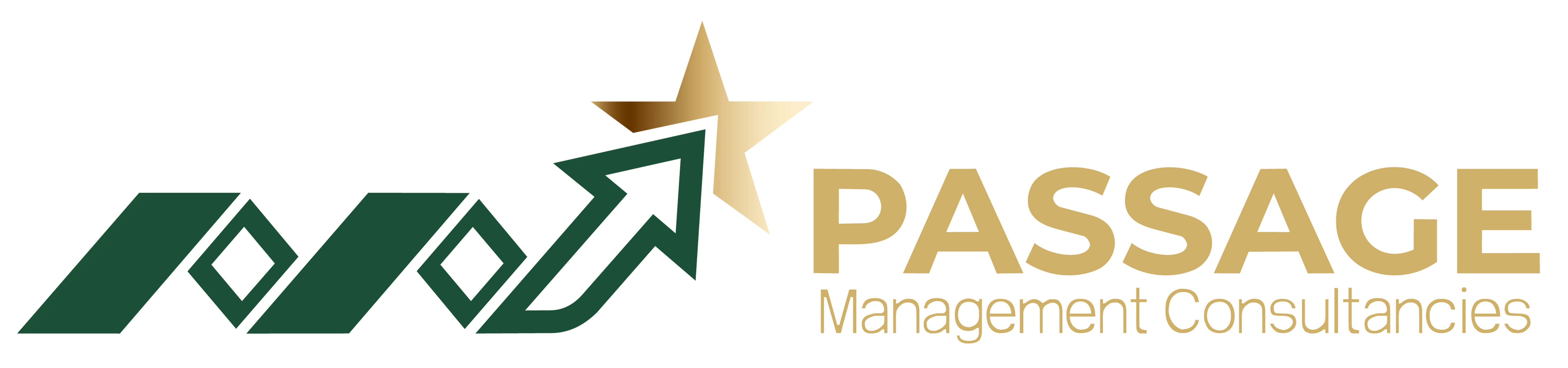 Passage Consultant