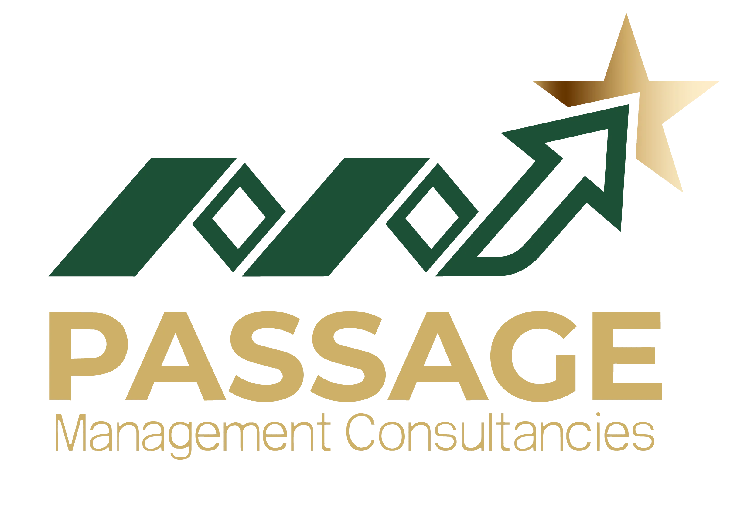Passage Consultant